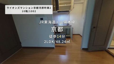 動画