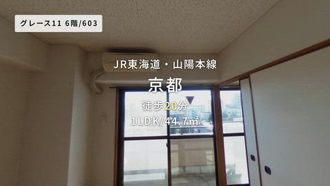 動画
