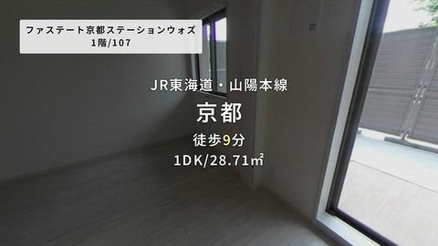 動画