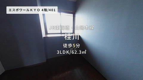 動画