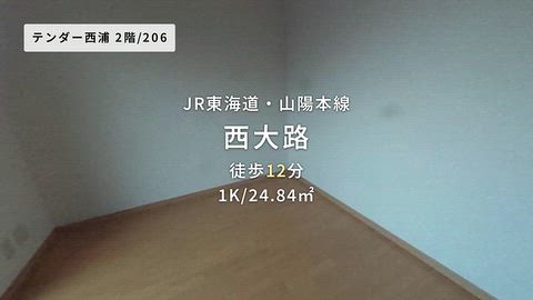 動画