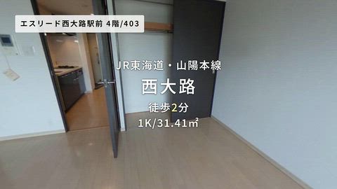 動画