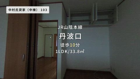 動画