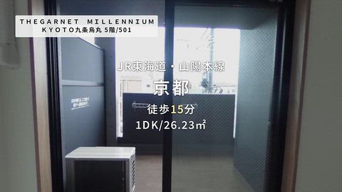 動画
