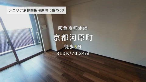 動画