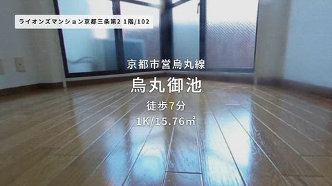 動画