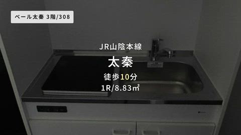 動画