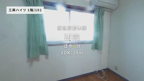 動画