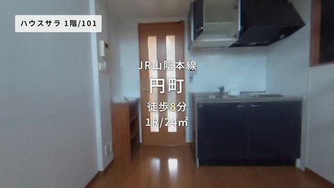 動画