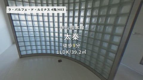 動画