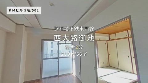 動画