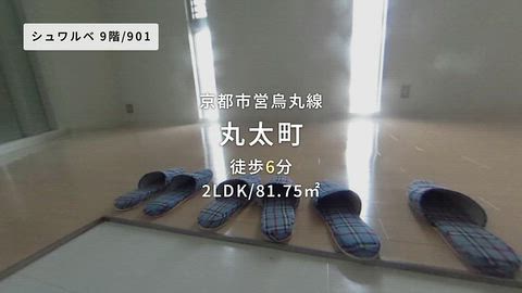 動画
