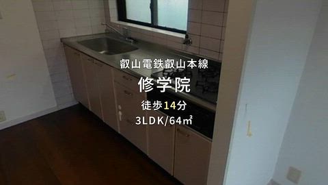 動画