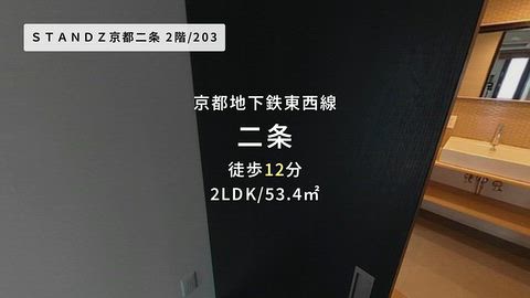 動画