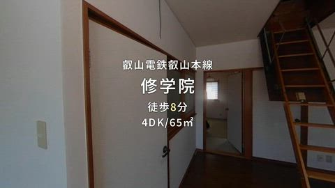 動画