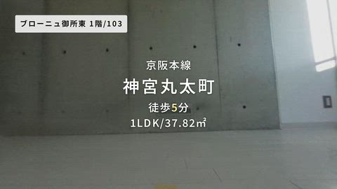 動画
