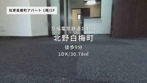 動画