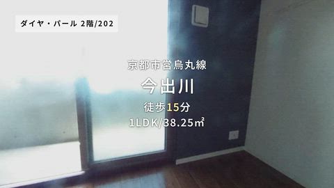 動画