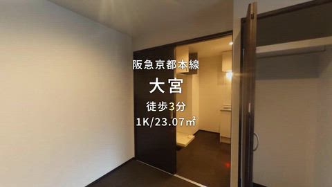 動画