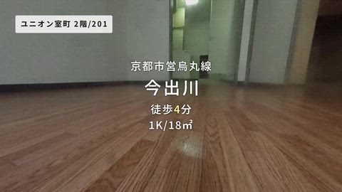 動画
