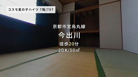 動画
