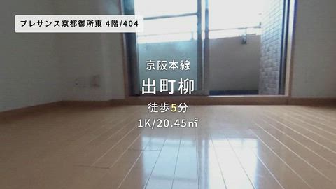 動画