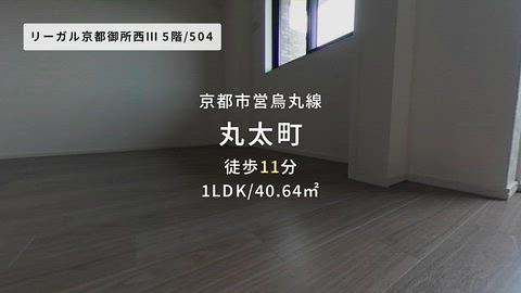動画