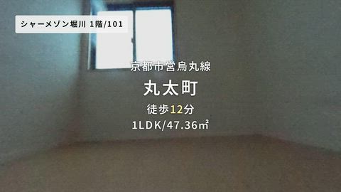 動画