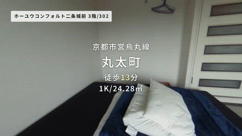 動画