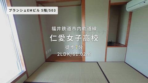 動画