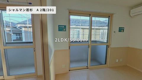 動画