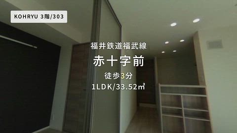 動画