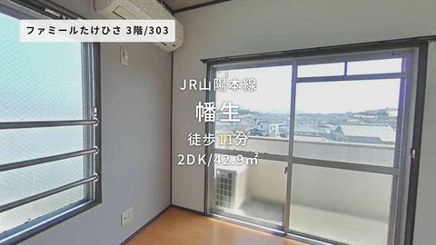 動画