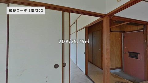 紹介ムービー
