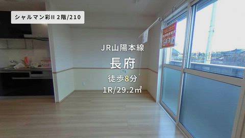 動画