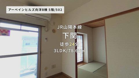 紹介ムービー