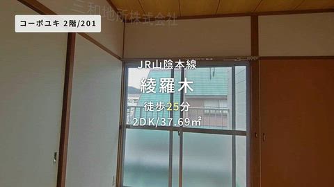動画