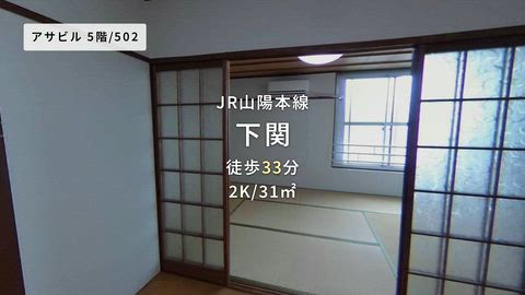 動画