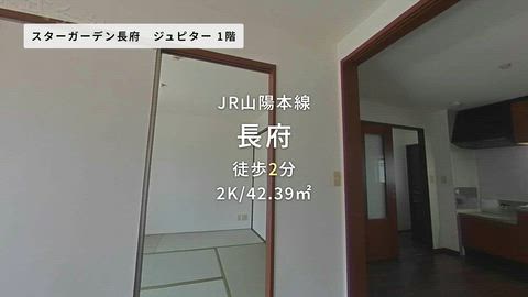 動画