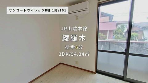 動画