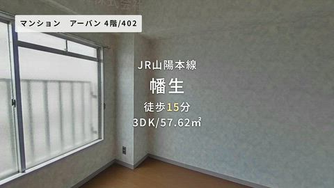 動画