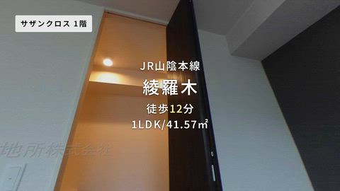 動画