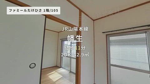 動画