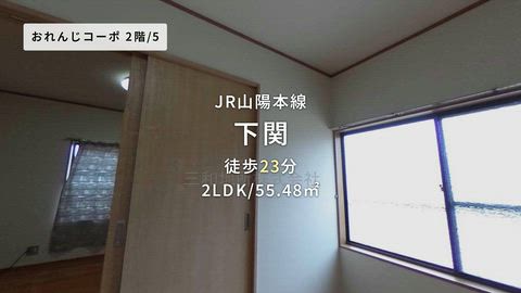 動画