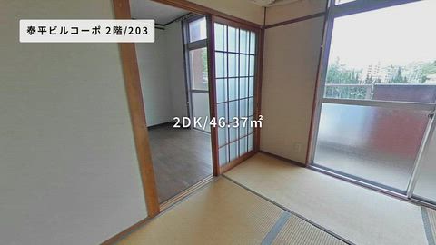 動画