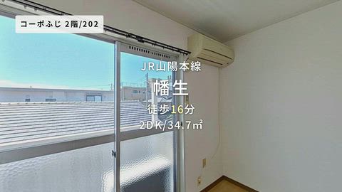 動画