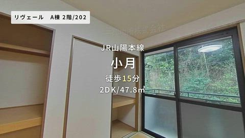 動画
