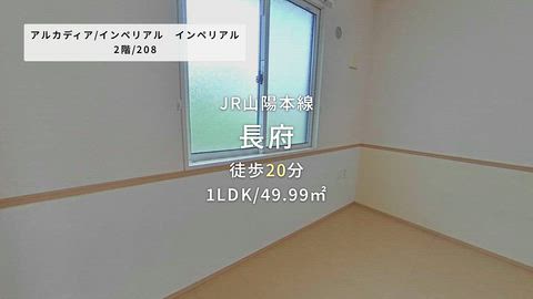 動画