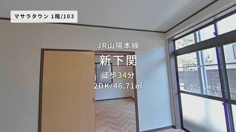 動画