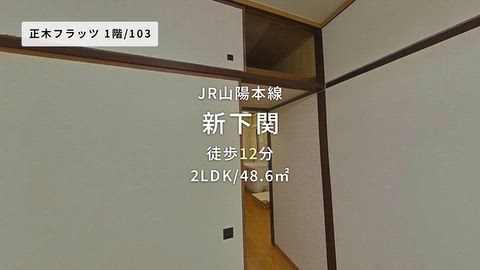 動画